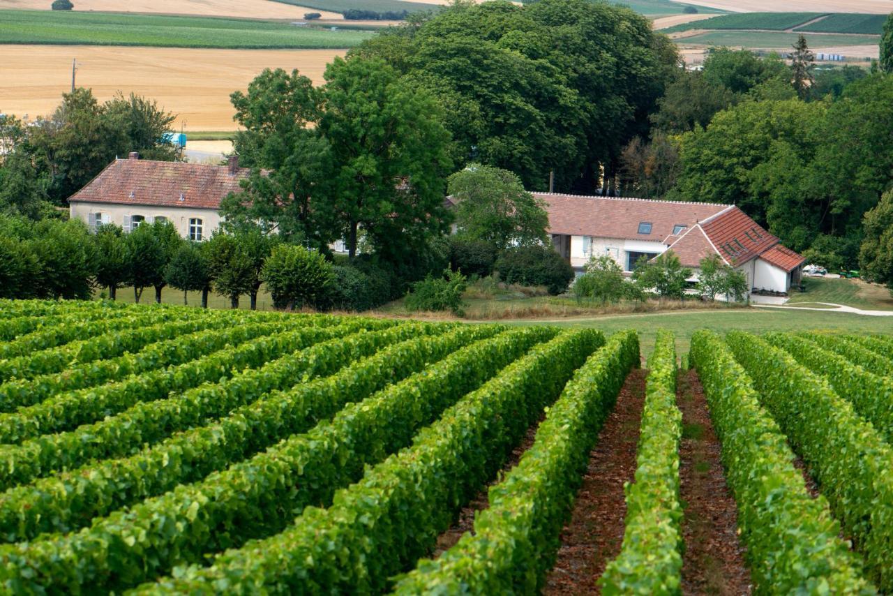 L' Ecrin Des Vignes Bed and Breakfast Sermiers Exterior foto